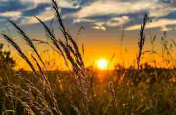  Monitor da ANA aponta avanço da seca fraca no Centro-Oeste do Paraná em fevereiro 